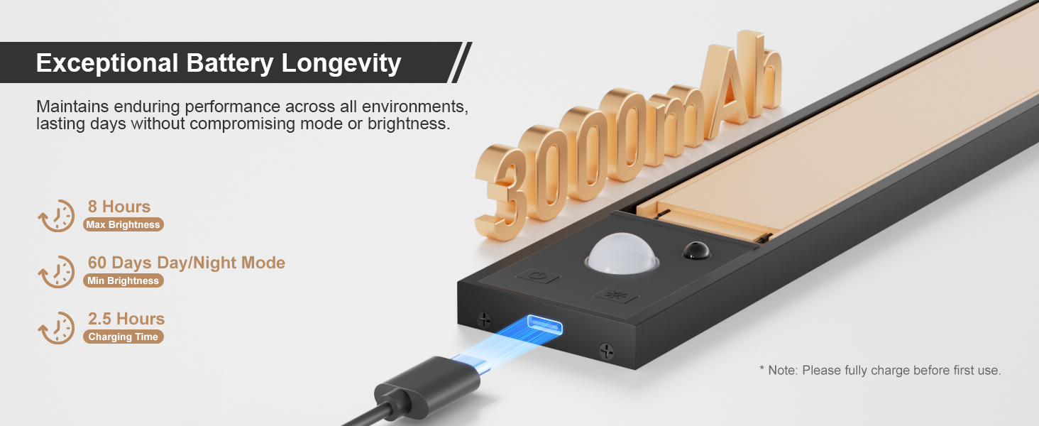 rechargeable battery