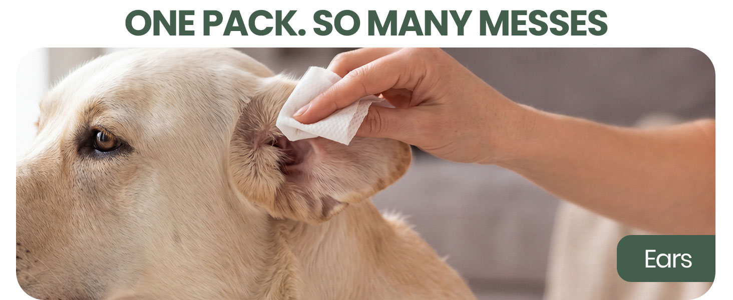 Bark &amp;amp; Clean