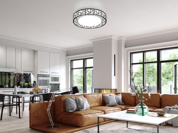ceiling light fixtures
