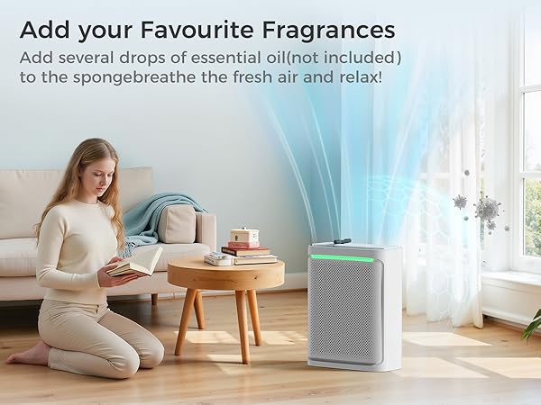 air purifier