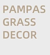 Pampas Grass