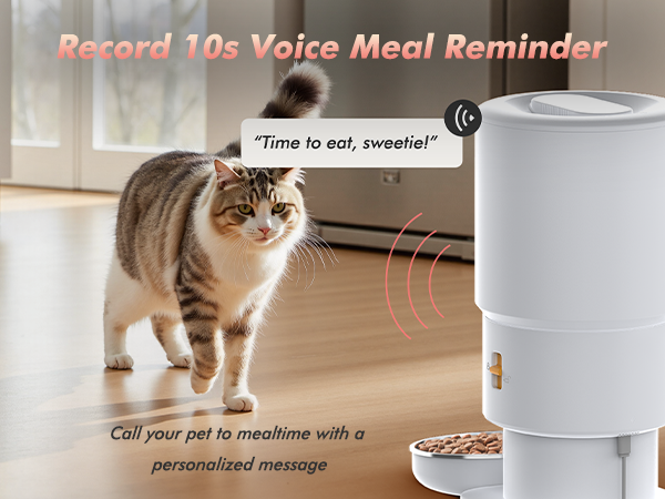 automatic cat feeder cat food dispenser automatic dog feeder cat automatic feeder pet feeder-m-1