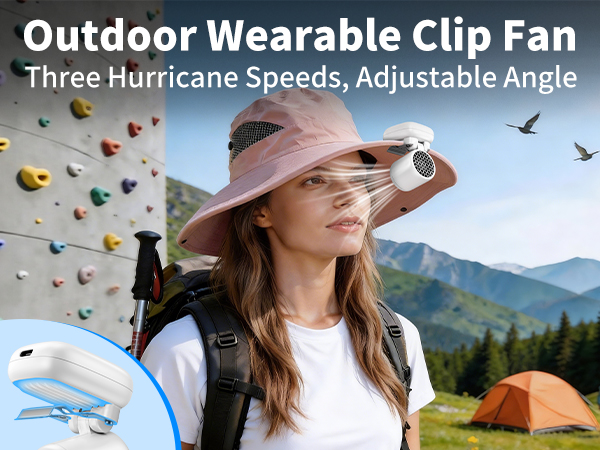 Miniature clip-on fan