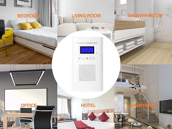 gas and carbon monoxide detector