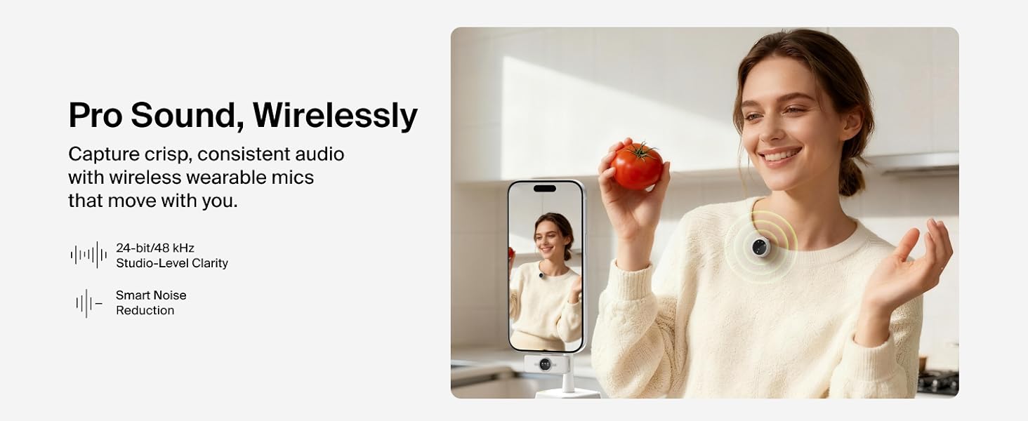 Stage Wireless Microphone