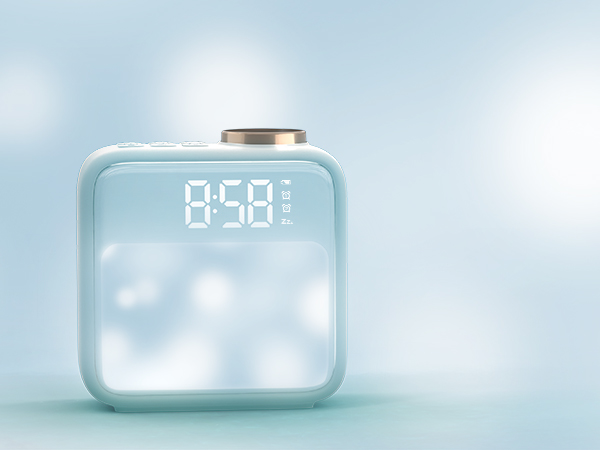 Summer Night Simulation & Birdsong