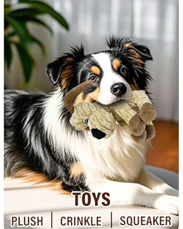 dog toys