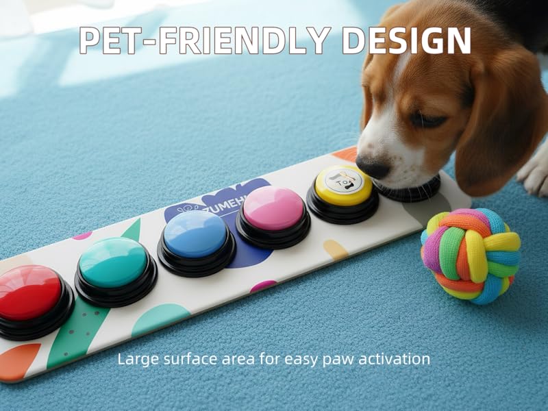 programmable sound button