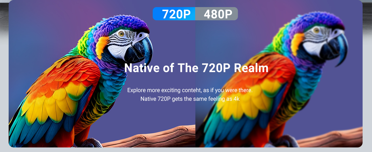 Outdoor Projection $50 Requires built-in app For use in dark environments