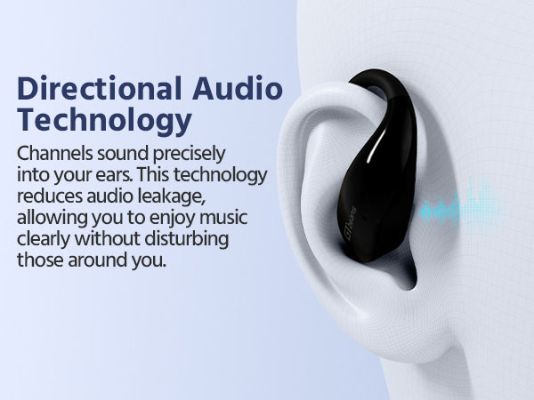 Directional Audio Technology