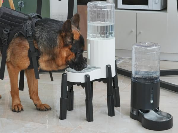 dog waterer