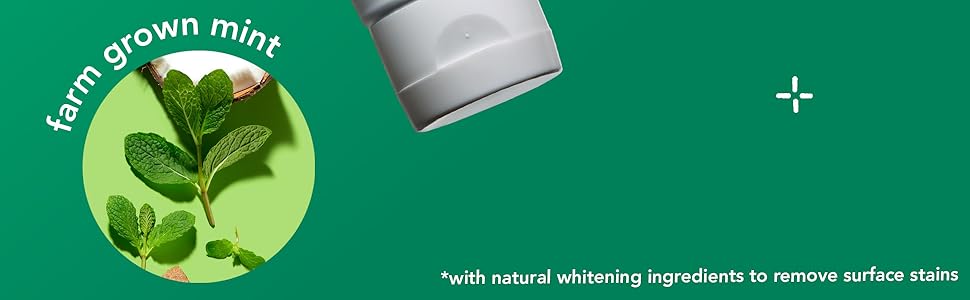dreamy, minty flavor