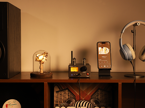 AIYIMA Audio amplifier