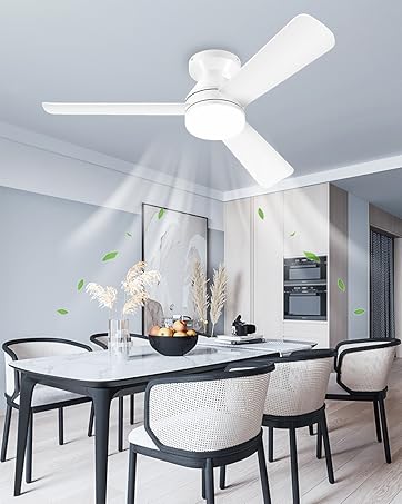 ceiling fans