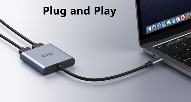 USB Type C to Displayport Dual Monitor