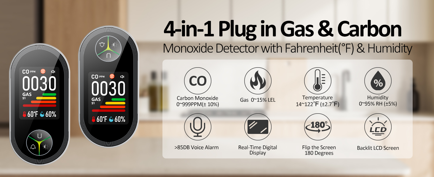 gas and carbon monoxide detector
