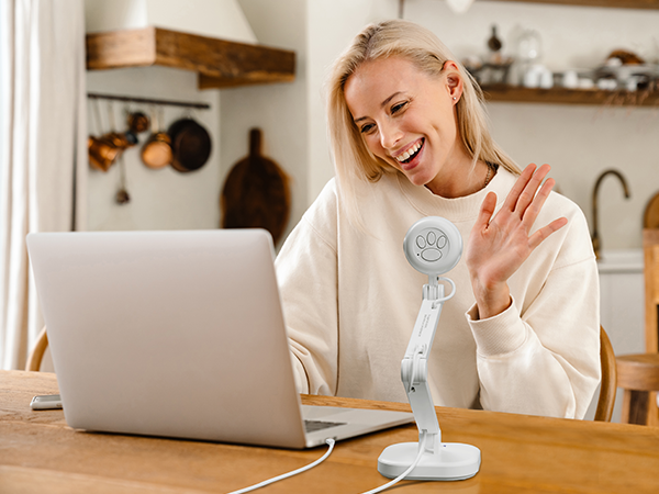 INS-1_Web conferencing_600x450