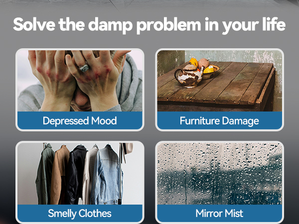 dehumidifier