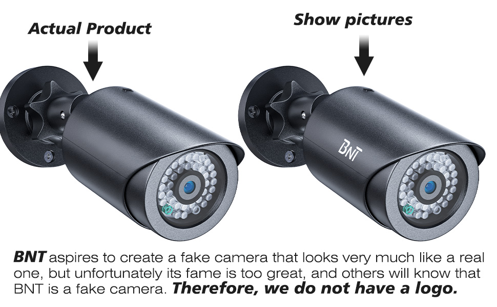 fake outdoor camera