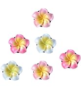 6Pcs Multicolor Pentapetal Flower Car Accessories for Women, Beach Flower Car Air Vent Clips Air ...