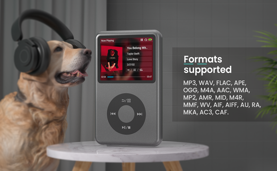mp3 player hifi music player mp4 playlist management