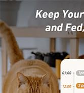 automatic cat feeder