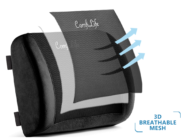 lumbar support back pillow