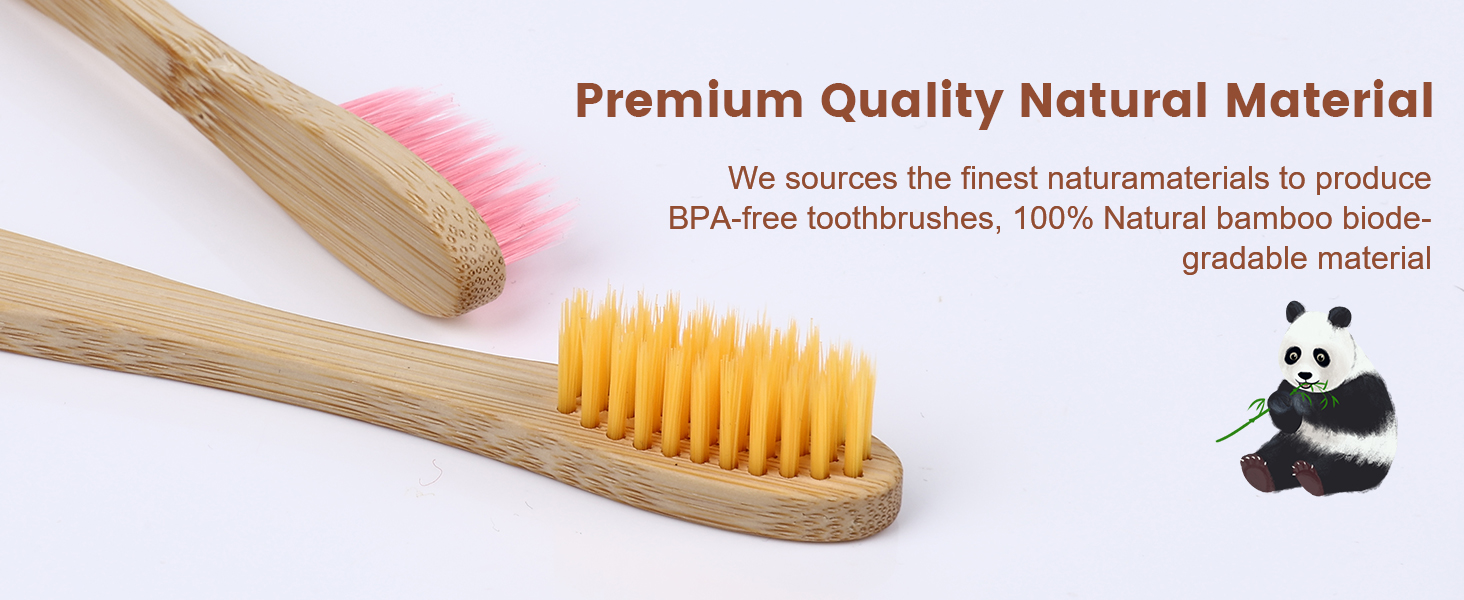 Bamboo Toothbrushes