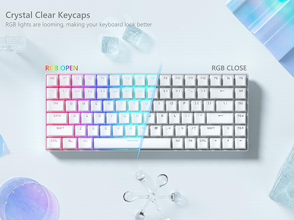 Shine Through PBT Keycaps, Custom Keycaps 60 75 100 Percent OEM Profile