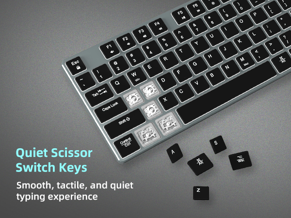 quiet scissor