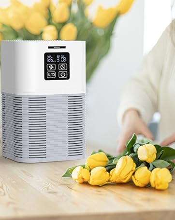 A1 Air Purifier