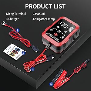 6v 12v charger