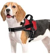 rabbitgoo Dog Harness Medium Sized, Easy On Pet Vest with One Buckle, No Pull Adjustable Service ...