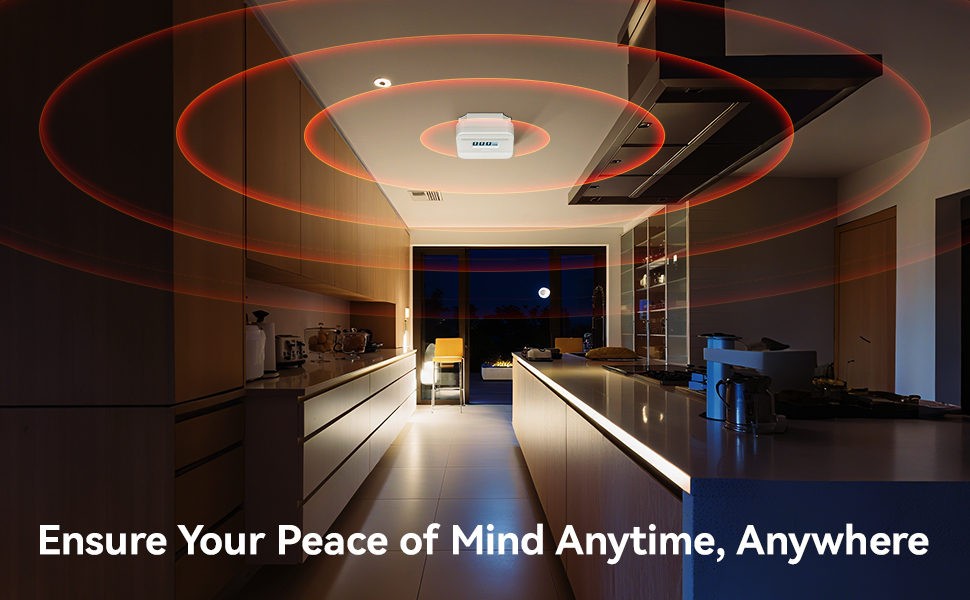 carbon monoxide tester for a room