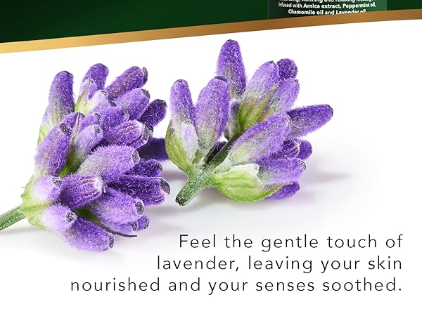 skin nourishing lavender oil relaxing massage oil