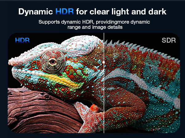 usb-c to displayport cable usb c to display port