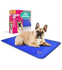 https://m.media-amazon.com/images/S/aplus-media-library-service-media/3a6b47cd-bf4f-44fd-ad71-80e39cdb5eb0.__AC_SR200,225___.jpg