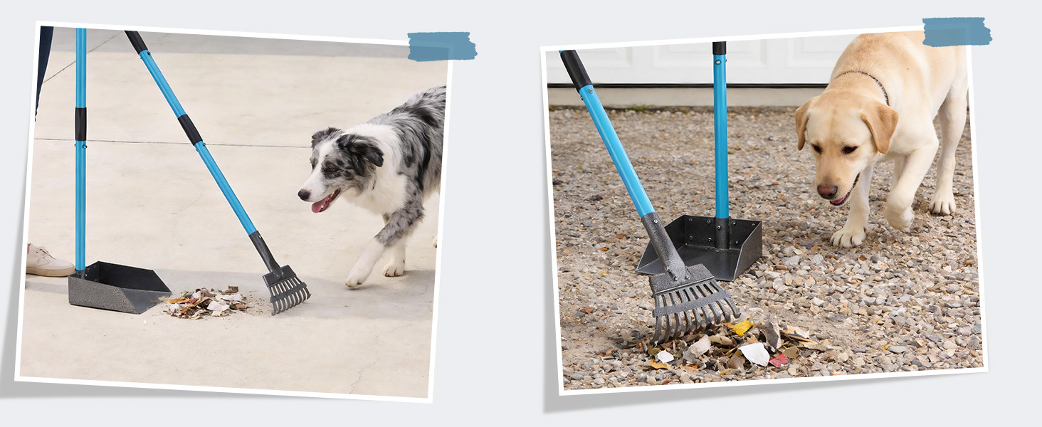 pooper scooper