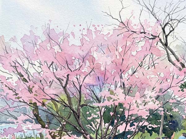 water color paint pink flower and tree by professional
