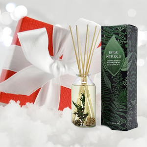 reed diffuser gift luxury home fragrance stylish room decor holiday gift set elegant home scent