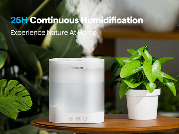 plants humidifiers indoor