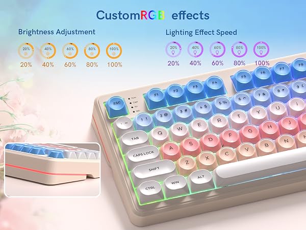  RGB Adjustment 