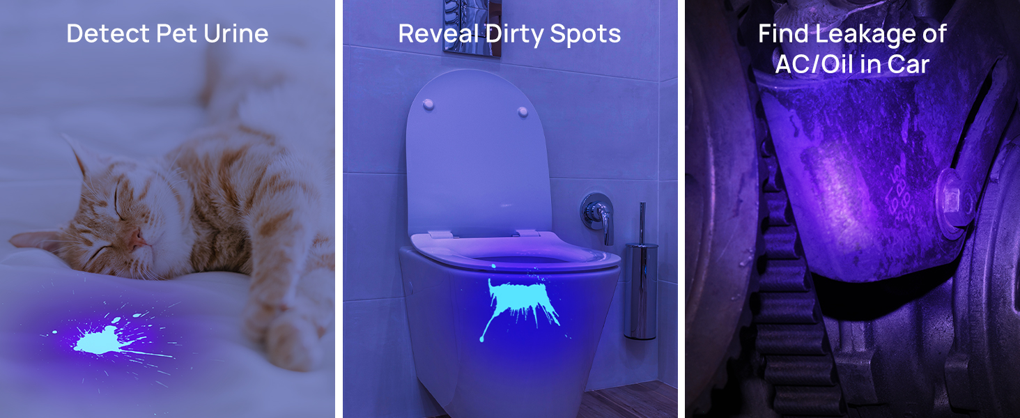 uv flashlight pet urine detector