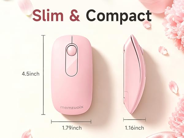 mouse