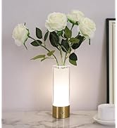 AIHYING Flower Night Light,Touch Vase Lamp,Rechargeable Cordless Table Lamp,Home Decor Lamp for D...