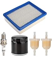 10L0L Golf Cart Tune Up Kit for Club Car DS 1992-up Gas Carts with FE290 FE350 Engines, Air Filte...