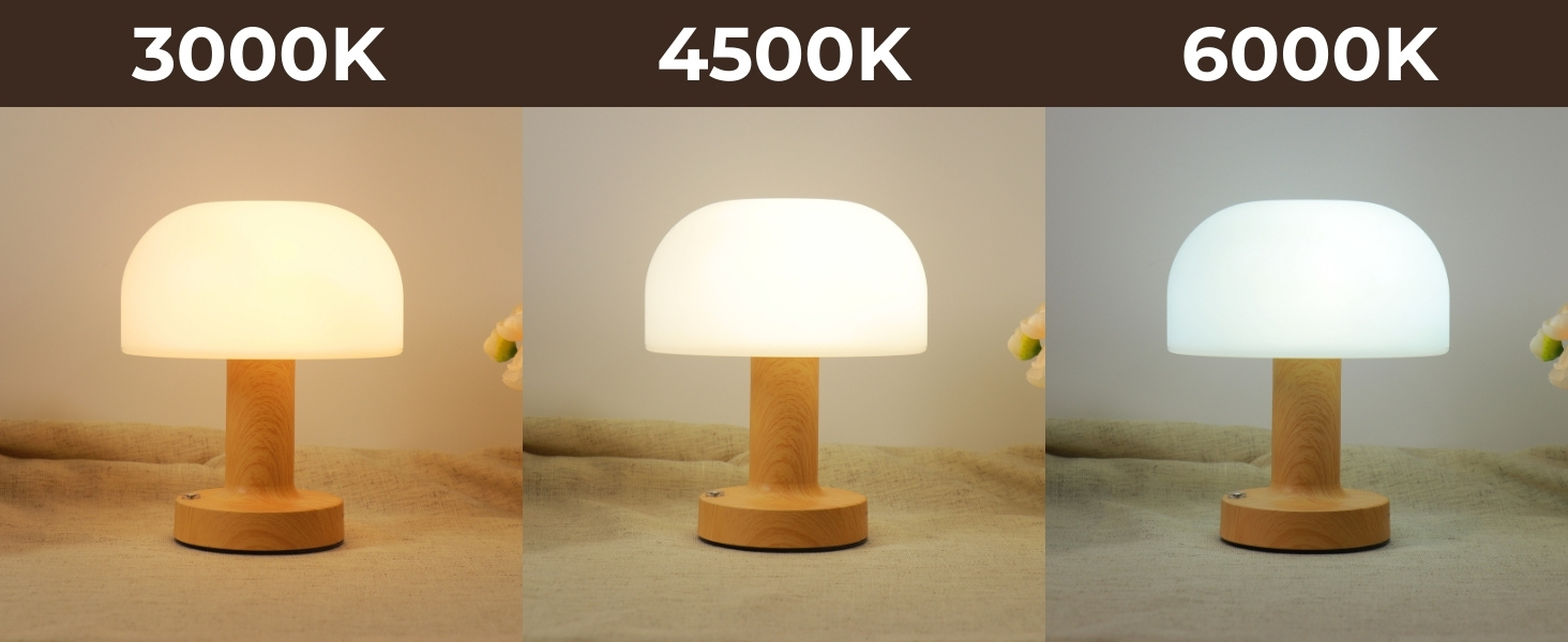 small mushroom LED table lamp rechargeable and cordless