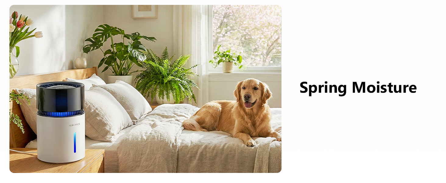 Mist-Free Evaporative Humidifier
