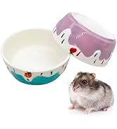 2 Pack Hamster Food Bowl,Small Animals Ceramic Food Water Bowl Prevent Tipping Moving for Guinea ...