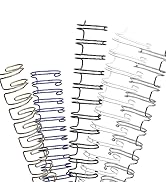 Rayson WR21159BK Wire Binding Spines, 2:1 Pitch Double Loop Binding Wires 5/8 Inch, 21-Loop Wire ...